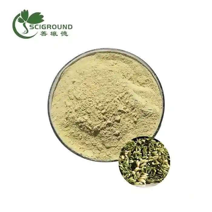 Sophora Japonica Extract